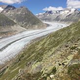 Een foto om alvast in de stemming te komen - 08.2018 Fam. Ligtlee - Aletschgletscher